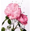 ミス ディオール ローズ エッセンス